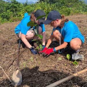 The Living Coffee Experience: From Farm to Cup