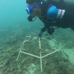 Would You Travel to Help Protect the Ocean?