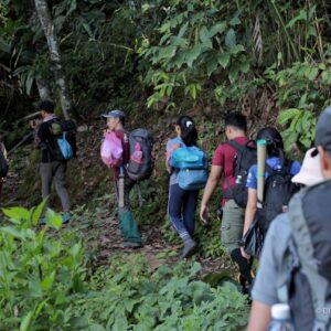 Jungle Secrets Revealed: Forest Walk With The Community