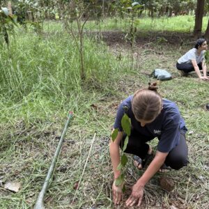 Into the Wild: A Solo Rainforest Escape