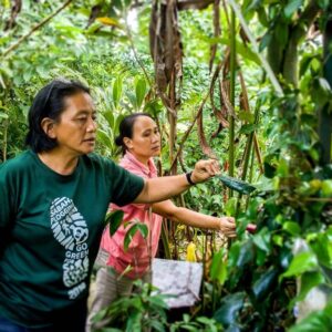 Farm Like A Local: Village Farm Experience